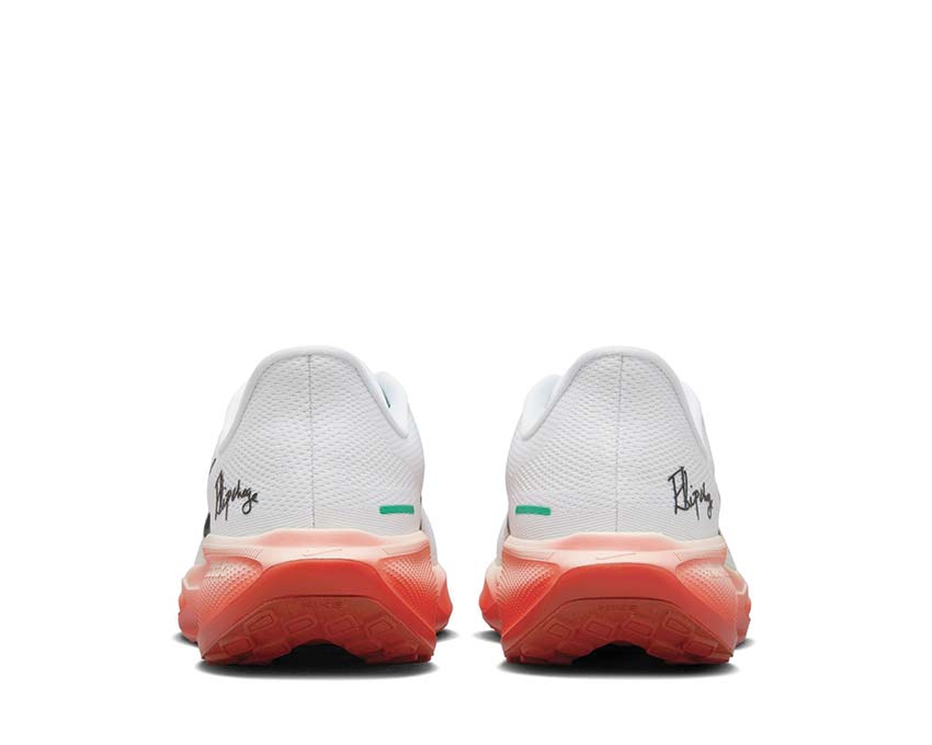 Nike Air Zoom Pegasus 41 "Eliud Kipchoge"